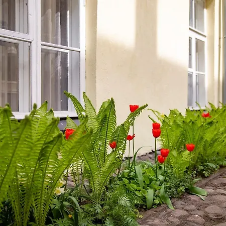 In A 700-years-old House *