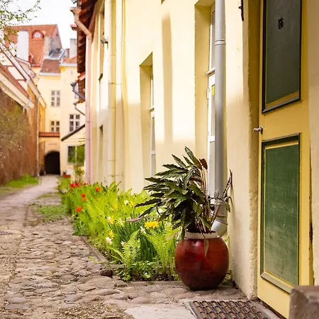 In A 700-years-old House Apartman *