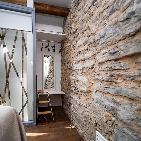 Apartman In A 700-years-old House Tallinn